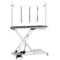 47" Height Adjustable Electric Pet Grooming Table W976