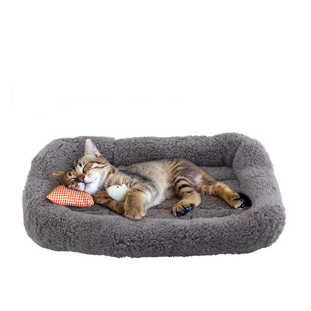 Cat Bed with Pillow, Anti Skid Bottom, Small Q192906