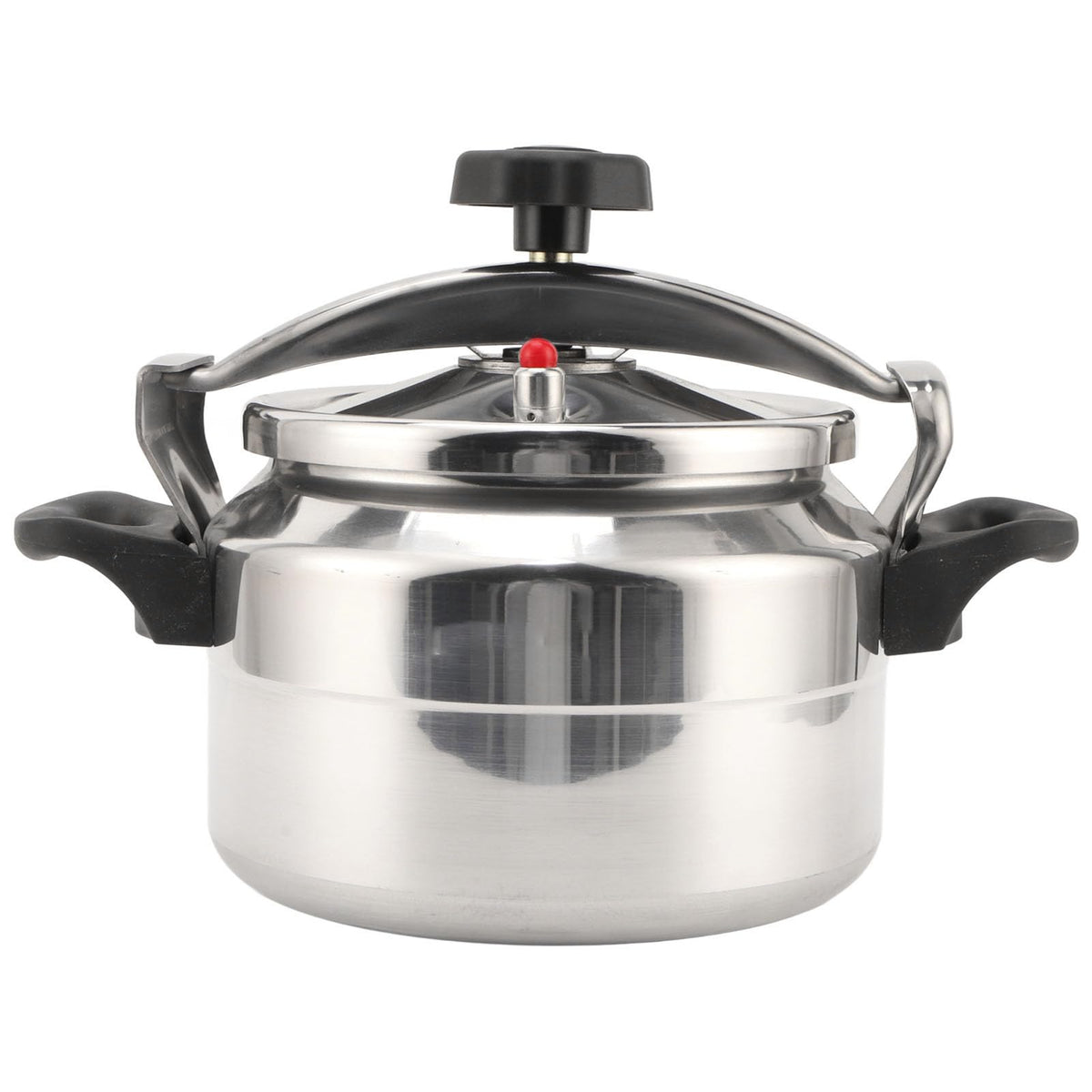 3L Stainless Steel Pressure Canner Y58769