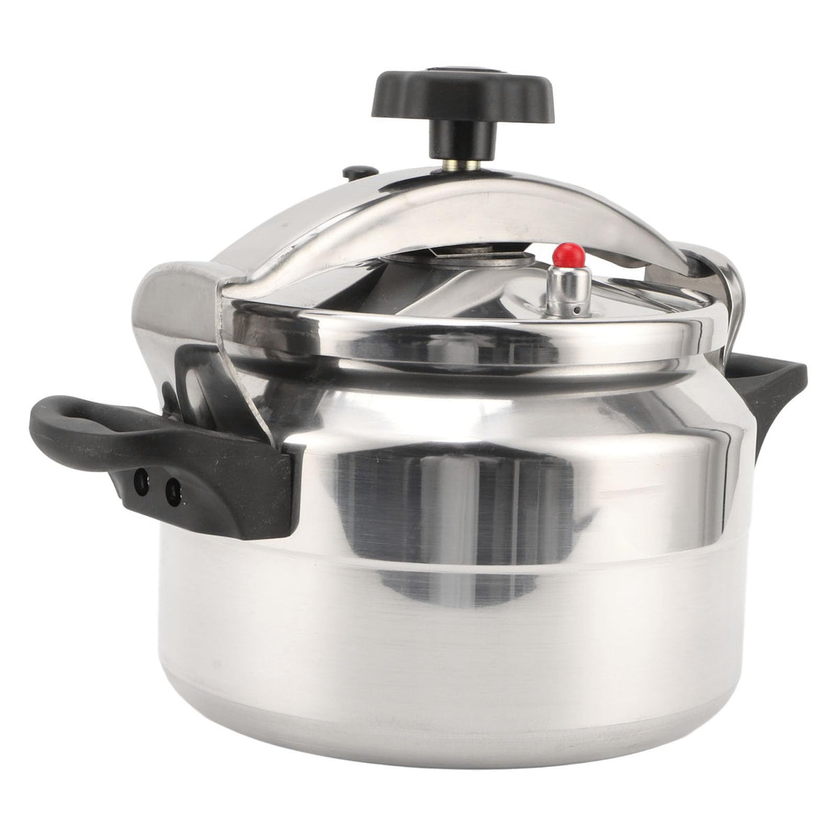 3L Stainless Steel Pressure Canner Y58769