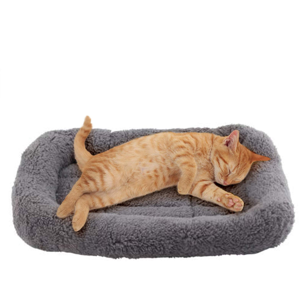 Cat Bed with Pillow, Anti Skid Bottom, Small Q192906