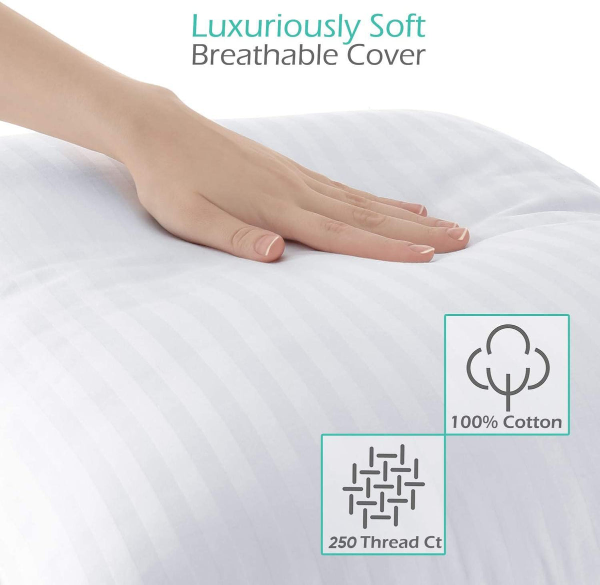 Queen Size Cotton Down Alternative Pillows Set of 2 O64252