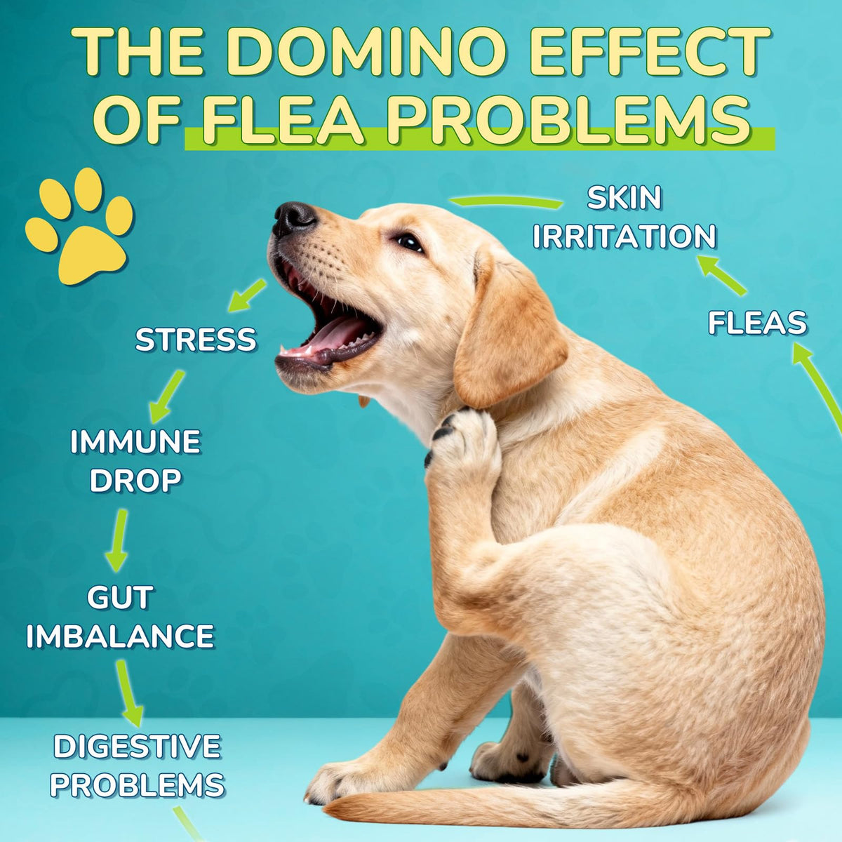 Flea and Tick Prevention Drops with Probiotics T98833