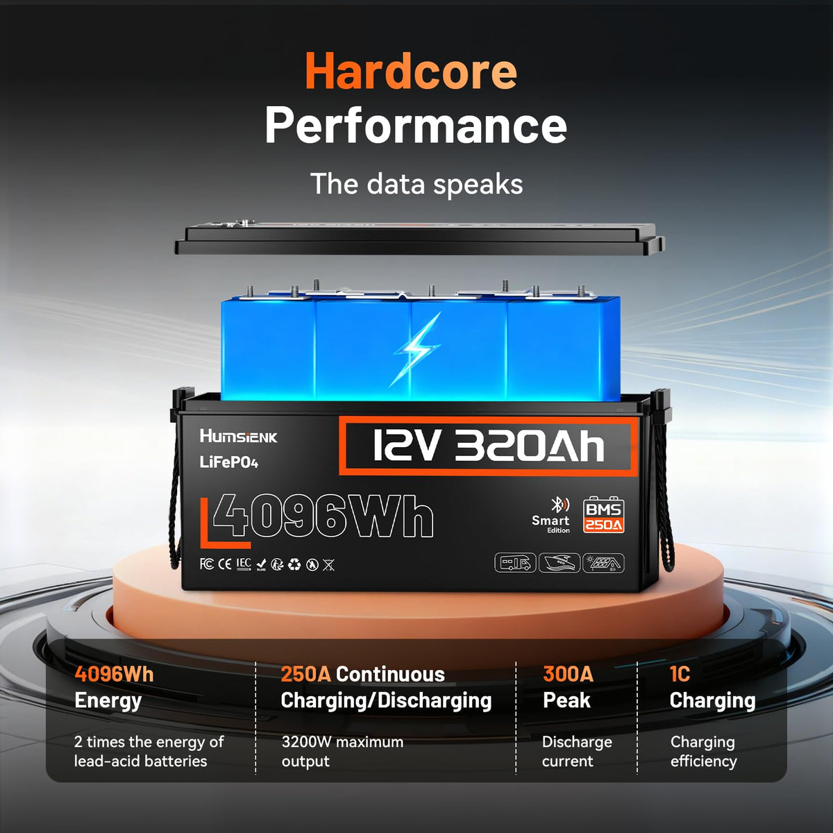 12V 320Ah LiFePO4 Lithium Battery with 250A BMS D344058