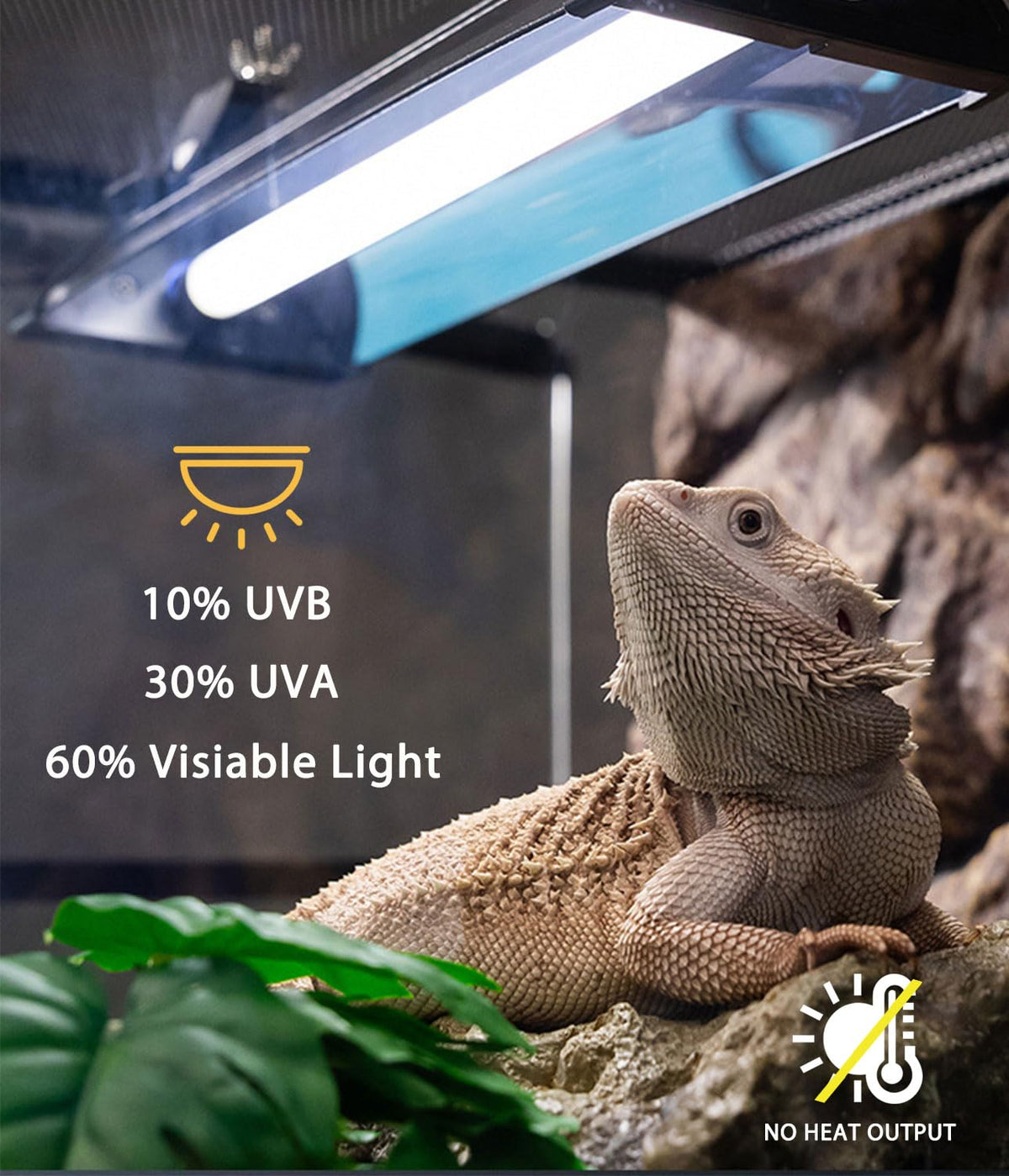 8W 12 Inch Switchable 10.0 & 5.0 UVB Reptile Light Fixture Combo Kit G8815