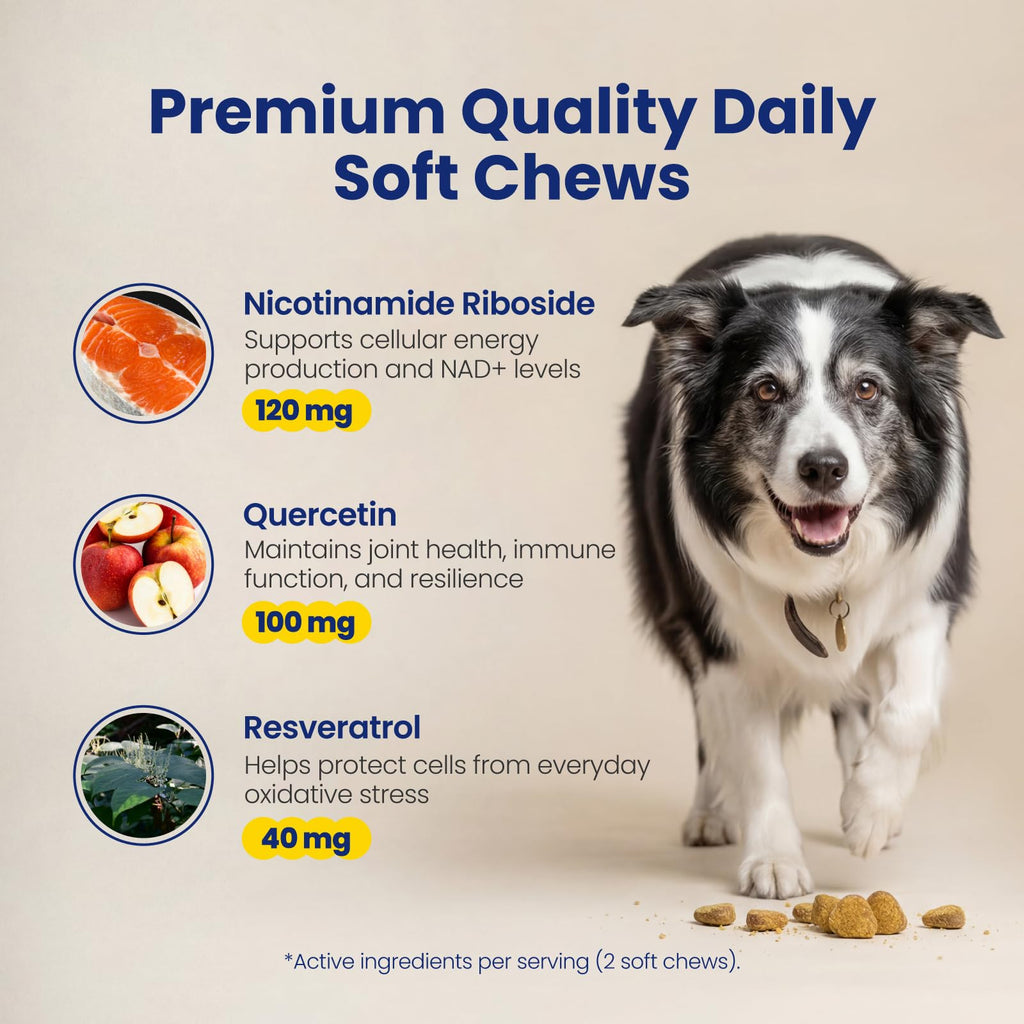 90 Soft Chews NAD+ Precursor Senior Dog Supplement A6158