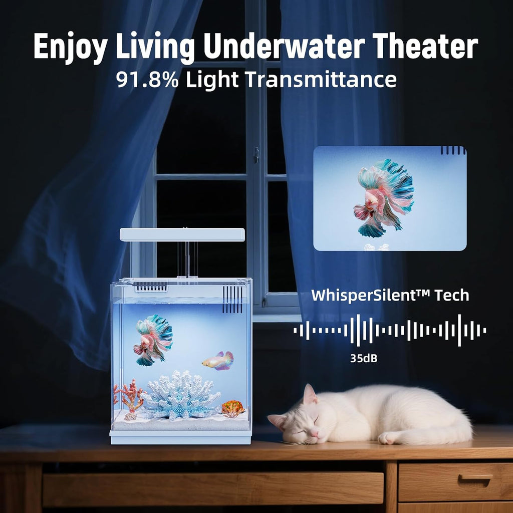 2 Gallon Aquarium Kit with Filtration & LED Light B24848