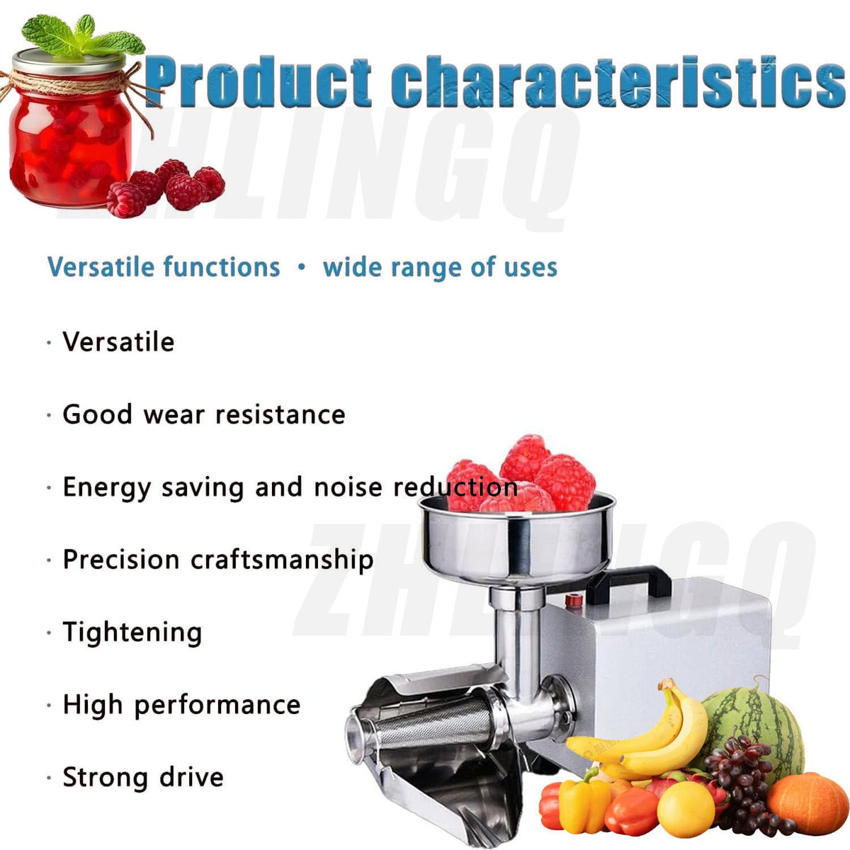 450W Stainless Steel Electric Tomato Strainer W6329