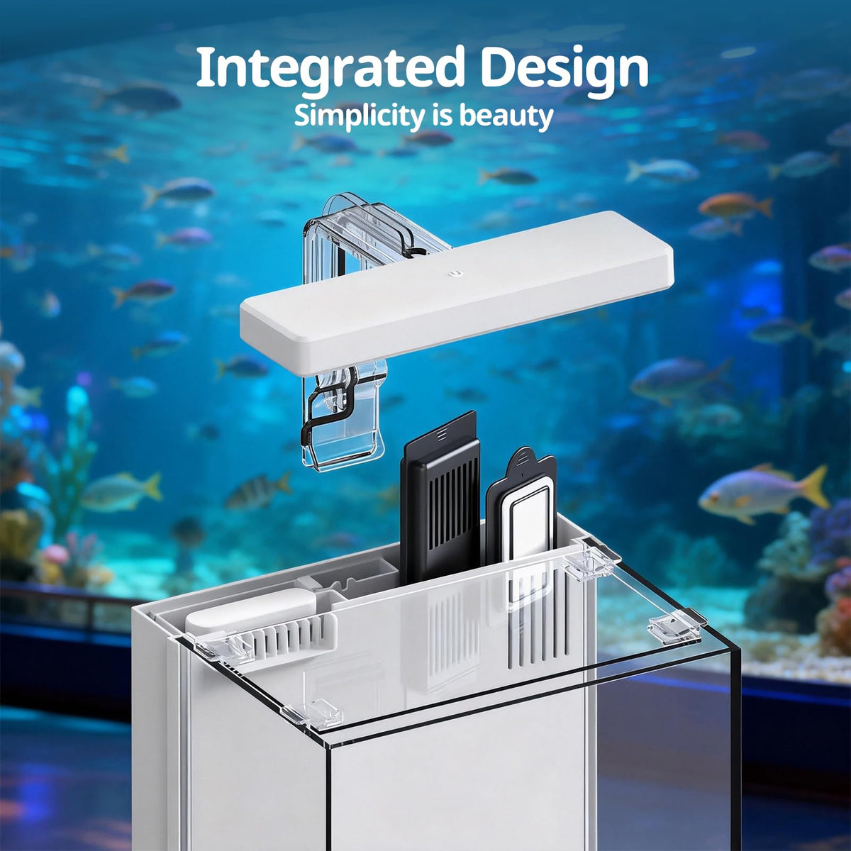 2 Gallon Aquarium Kit with Filtration & LED Light B24848