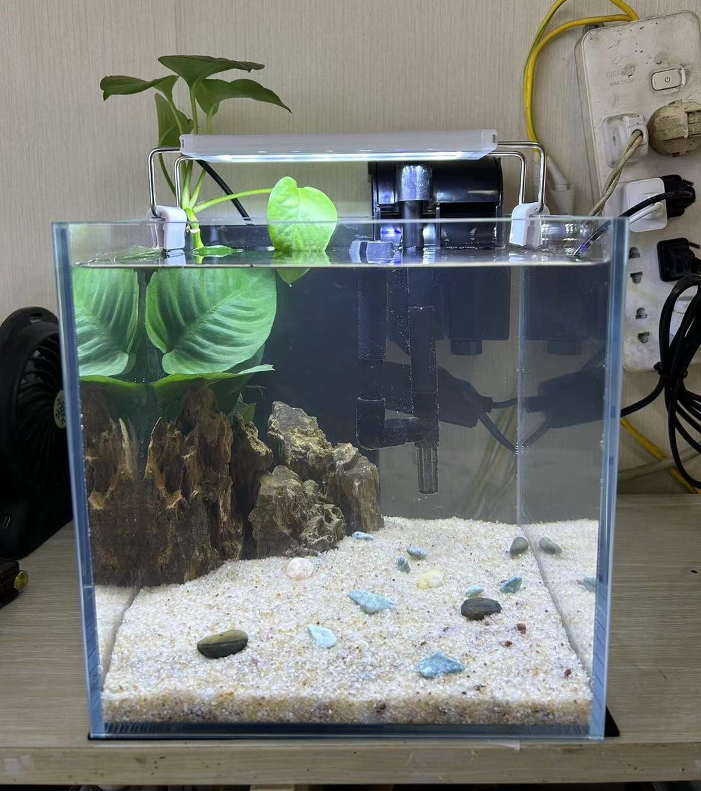 Small Nano Tall Rimless Glass Fish Tank 2 Gallon N8455