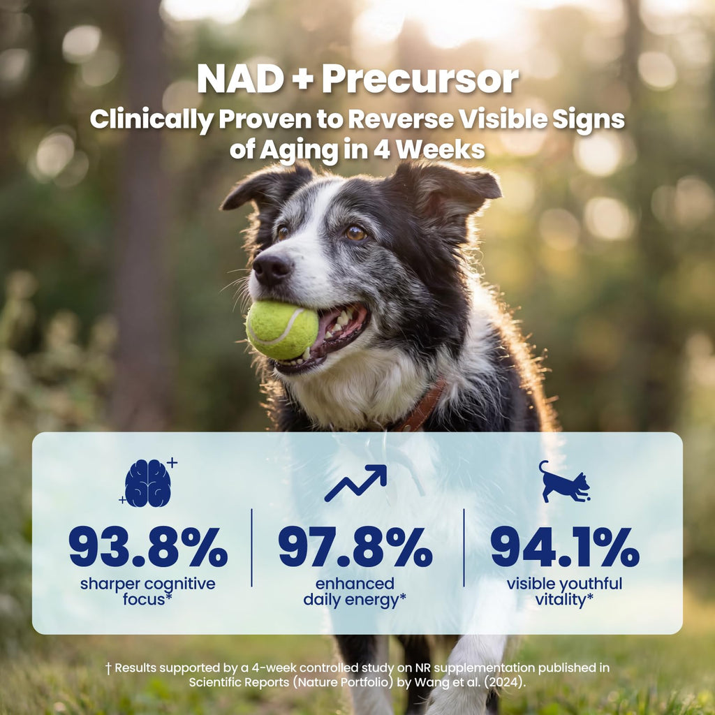 90 Soft Chews NAD+ Precursor Senior Dog Supplement A6158