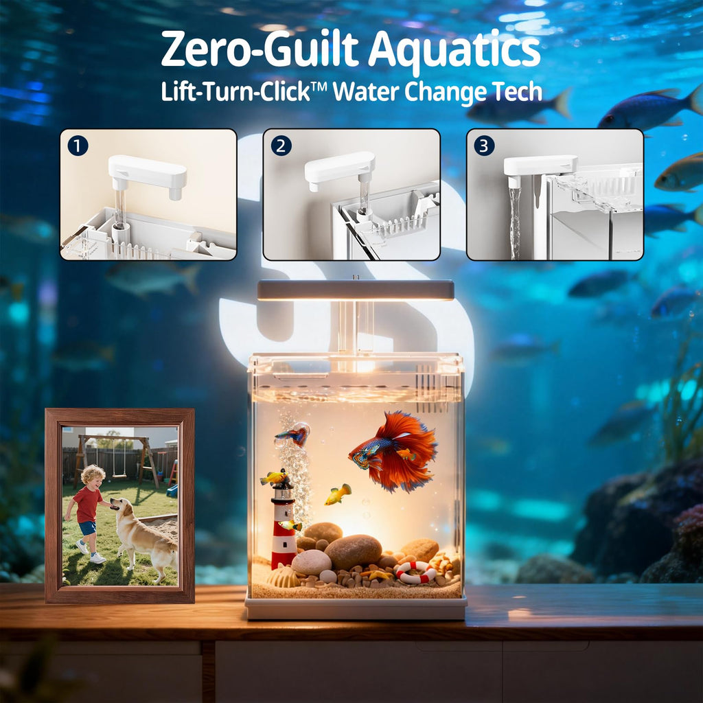 2 Gallon Aquarium Kit with Filtration & LED Light B24848