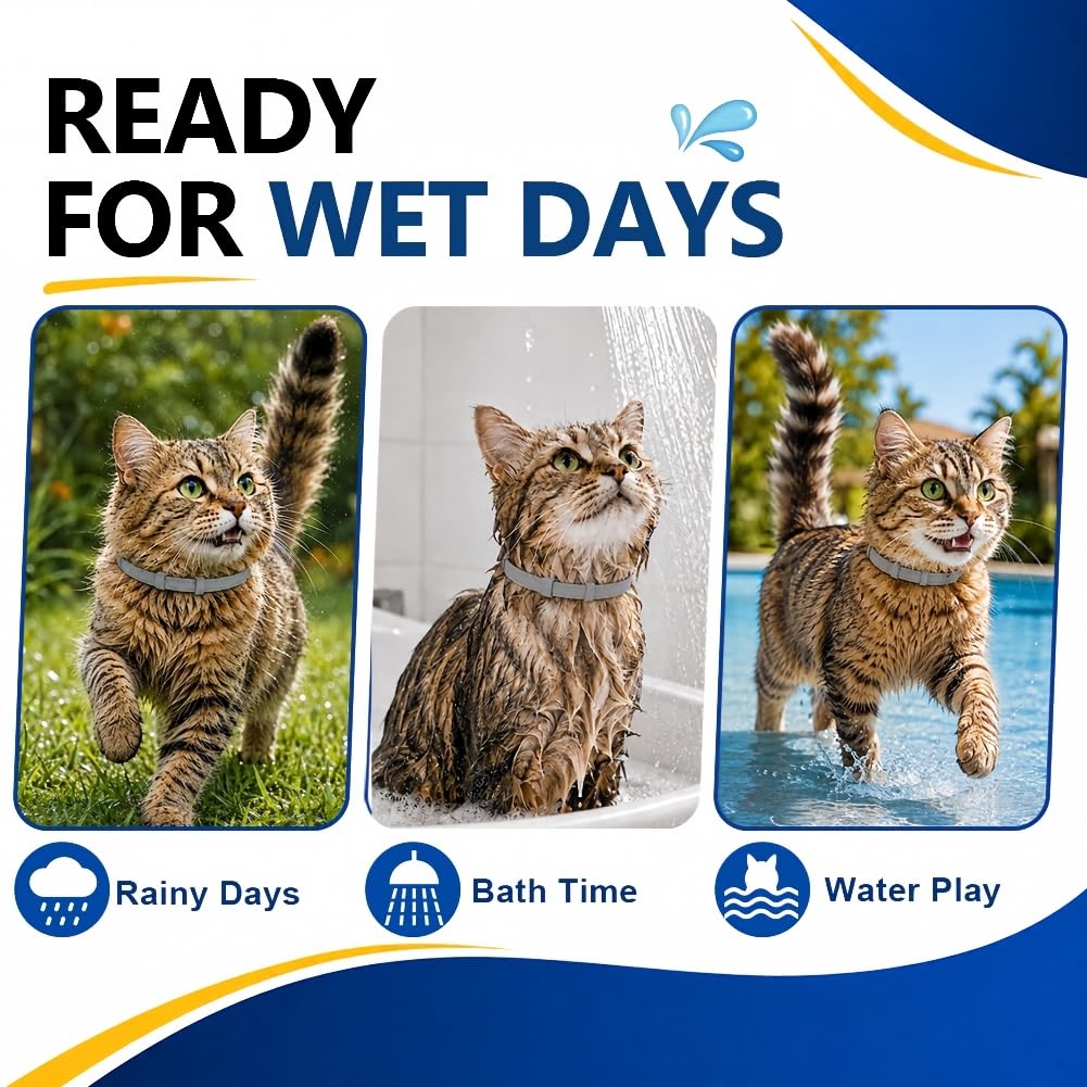 Flea & Tick Collar for Cats 4 Pack P9289