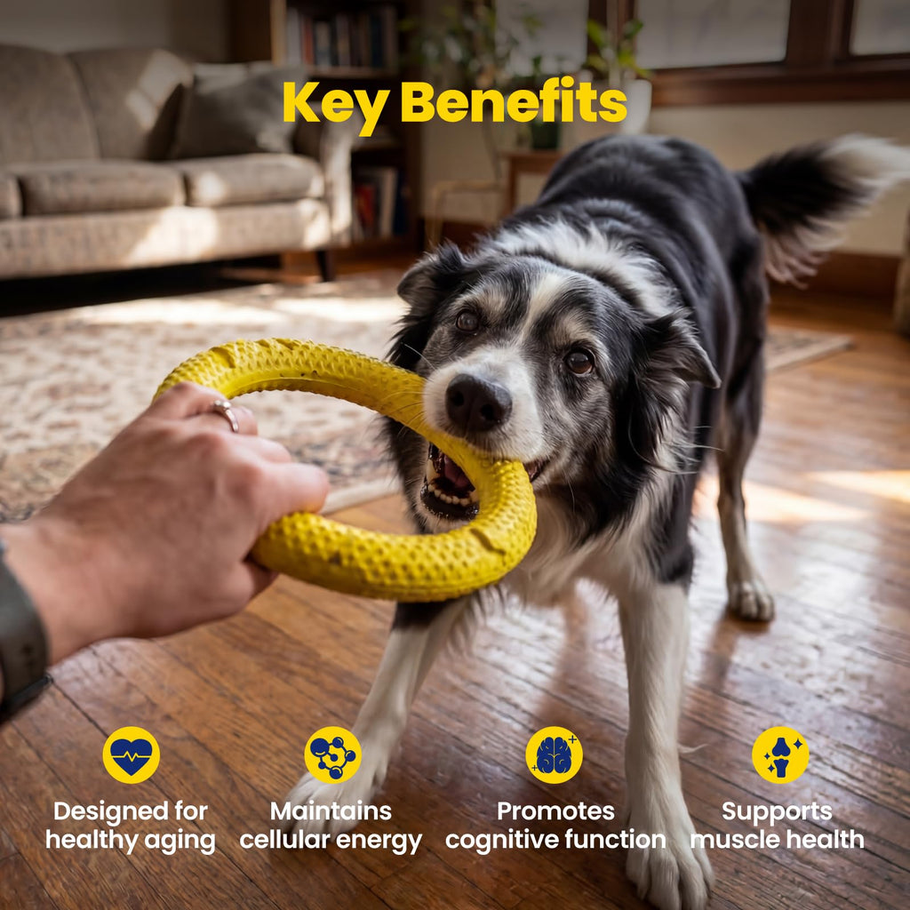 90 Soft Chews NAD+ Precursor Senior Dog Supplement A6158