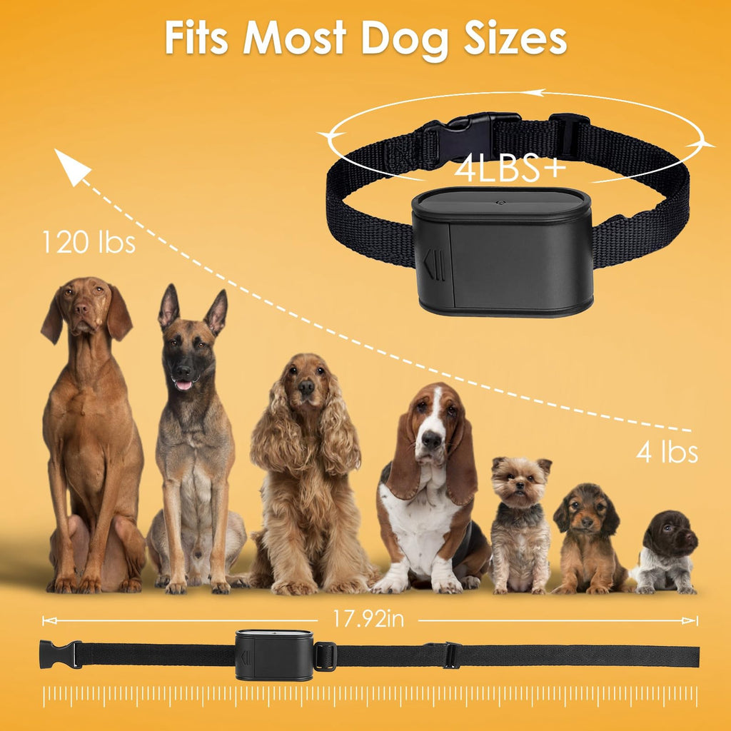 Electric Dog Fence System for 2 Dogs J113