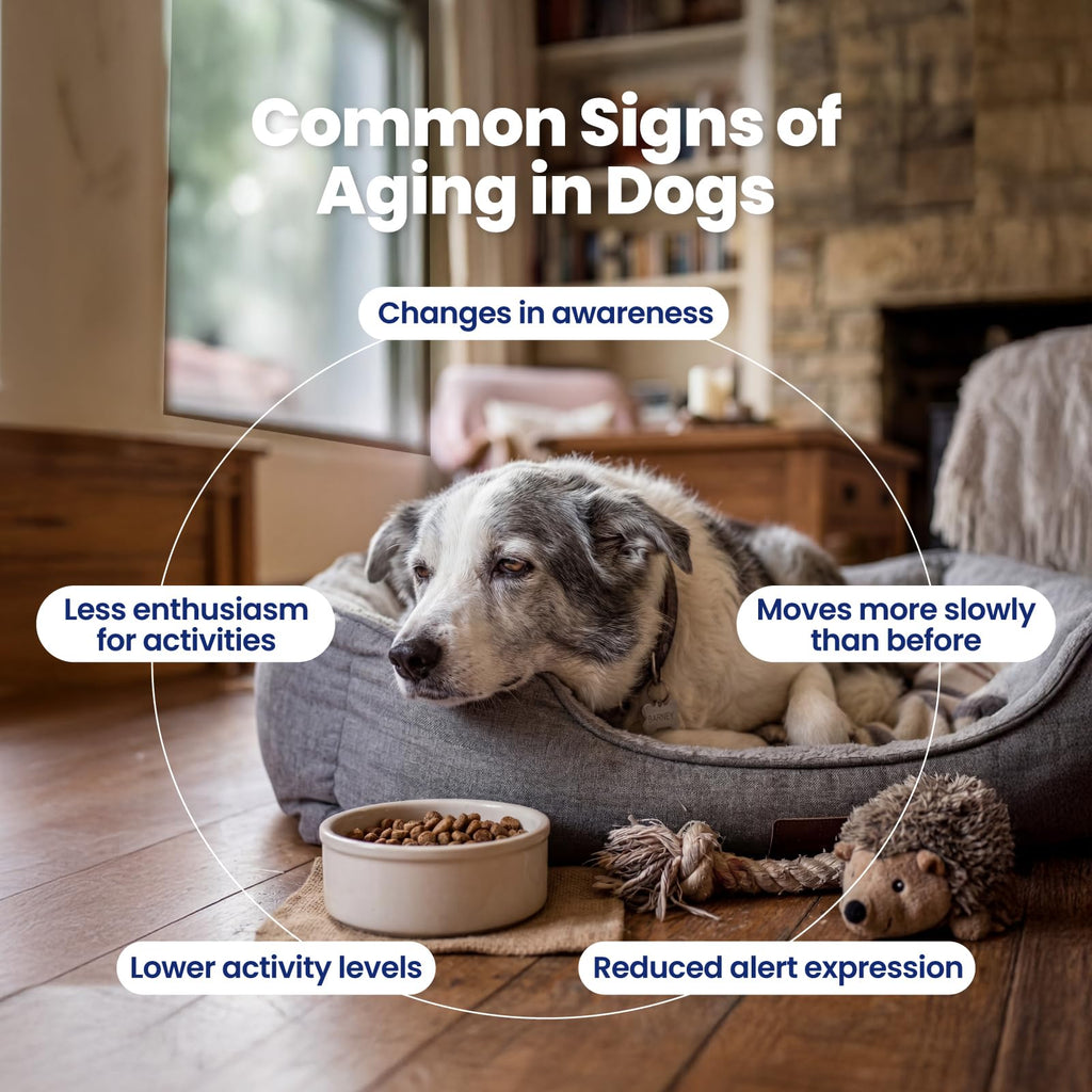 90 Soft Chews NAD+ Precursor Senior Dog Supplement A6158