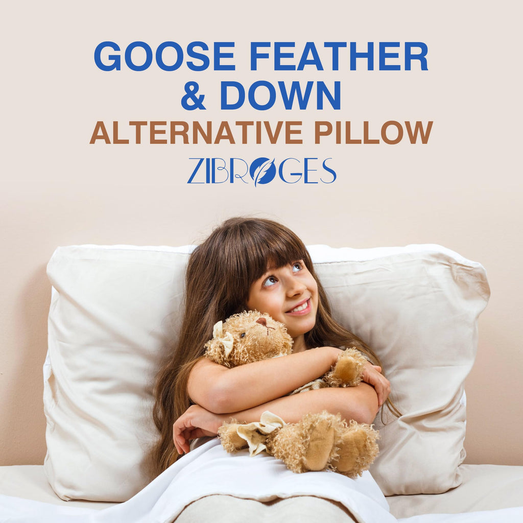 Queen Size Set of 2 Feather Pillows B585
