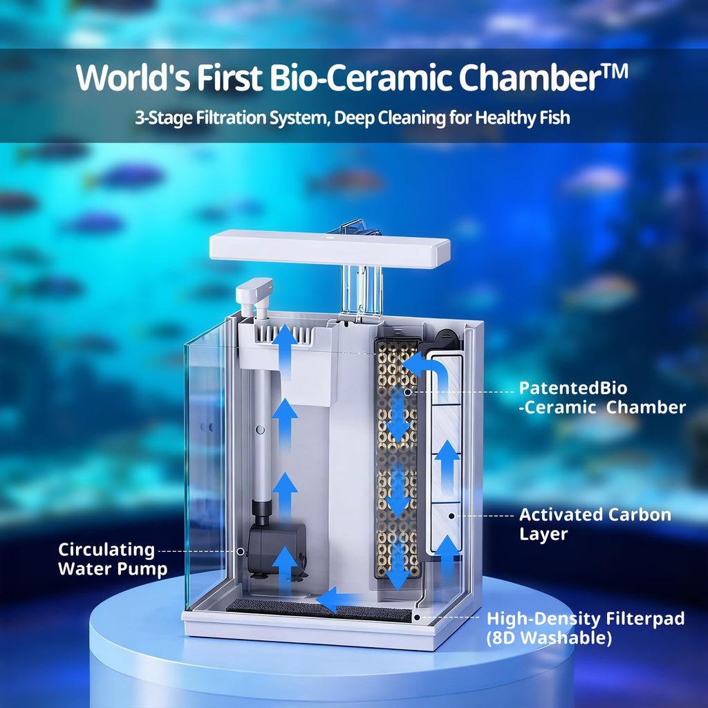 2 Gallon Aquarium Kit with Filtration & LED Light B24848