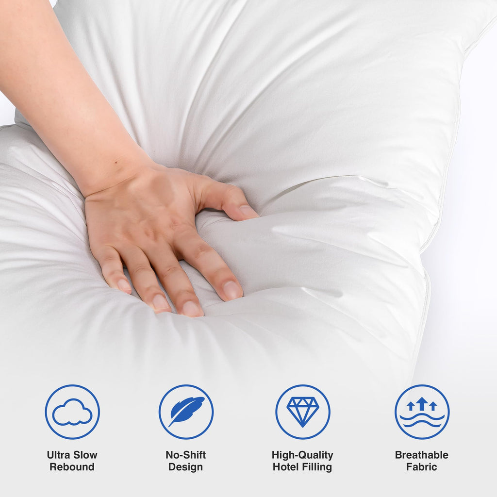 Queen Size Set of 2 Feather Pillows B585