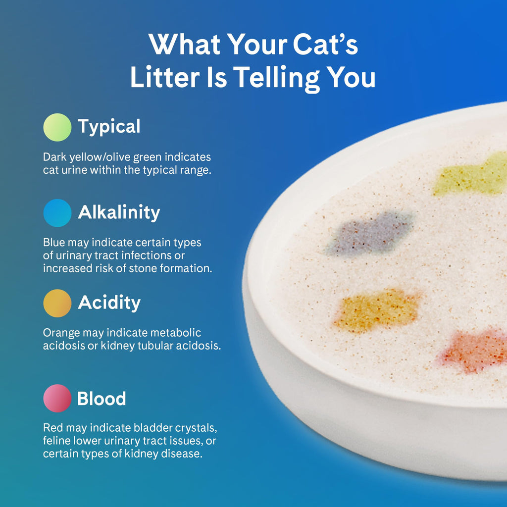 Unscented 6 lb. 2-Pack Cat Litter D2723