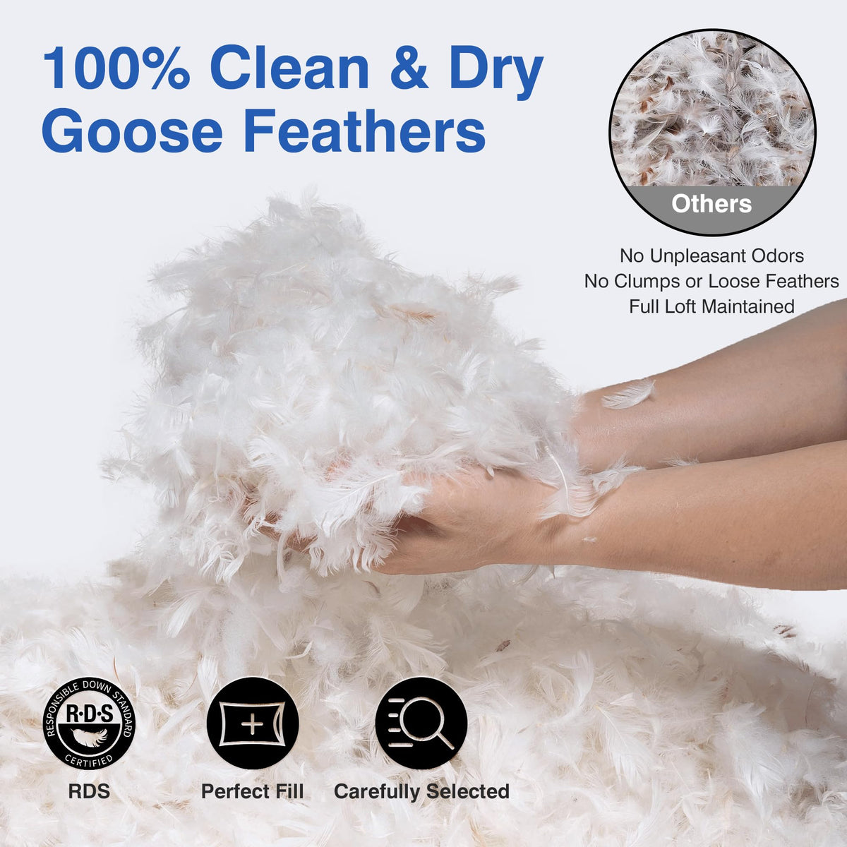 Queen Size Set of 2 Feather Pillows B585
