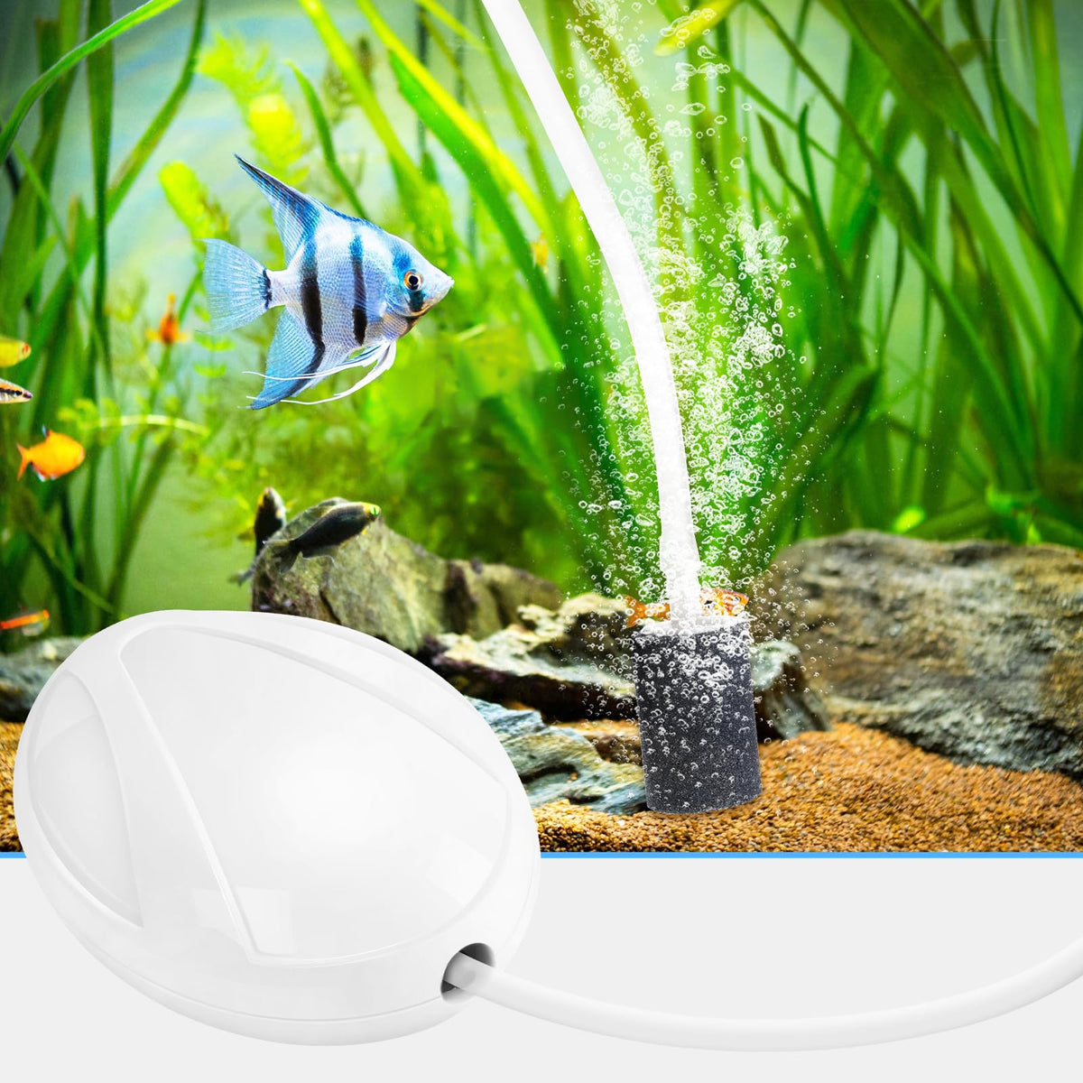 Aquarium Air Pump with Stones, Airline Tubing, Check Valves Z701