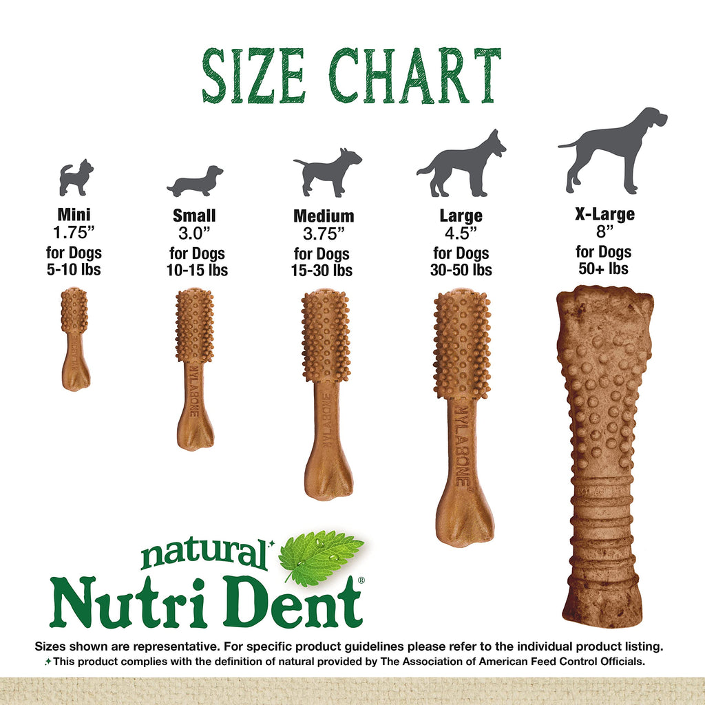Filet Mignon Flavor Dog Dental Treats 40 Count Z4896