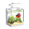 2 Gallon Aquarium Kit with Filtration & LED Light B24848