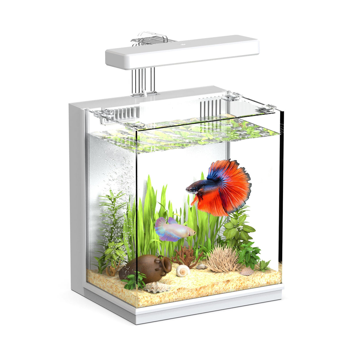 2 Gallon Aquarium Kit with Filtration & LED Light B24848