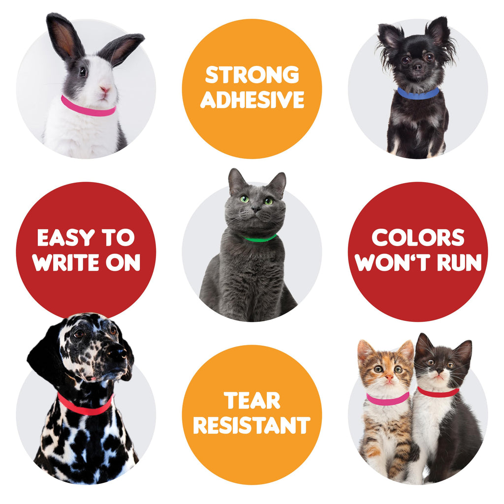 10 Inch 500 Count Waterproof Writable Pet ID Collars P741