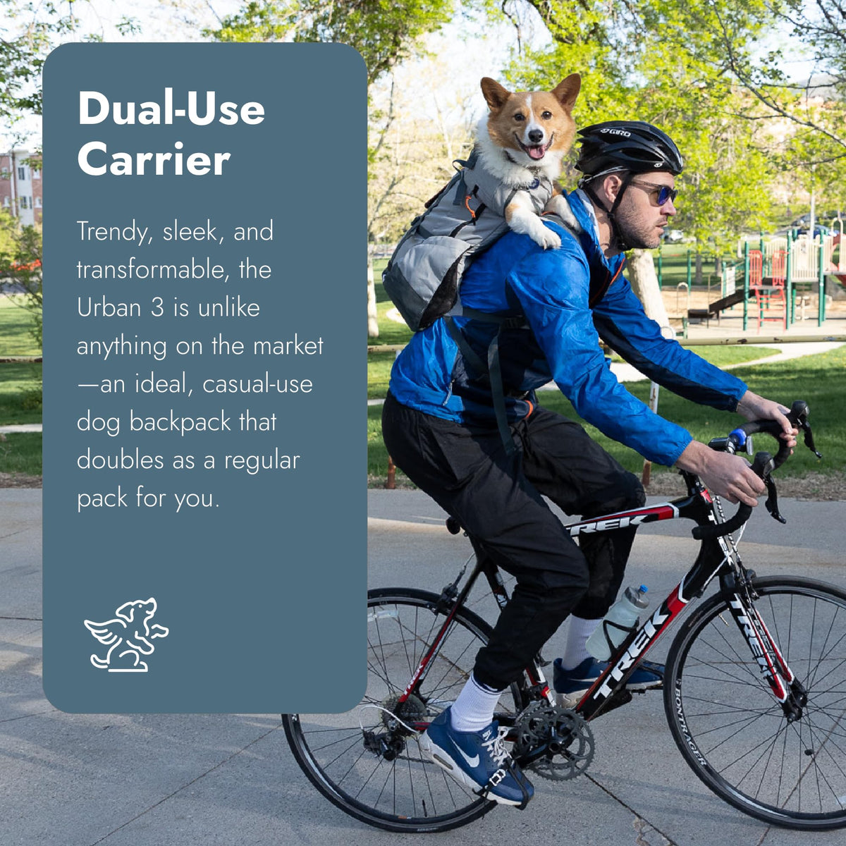 Small Backpack-Style Dog Carrier W618