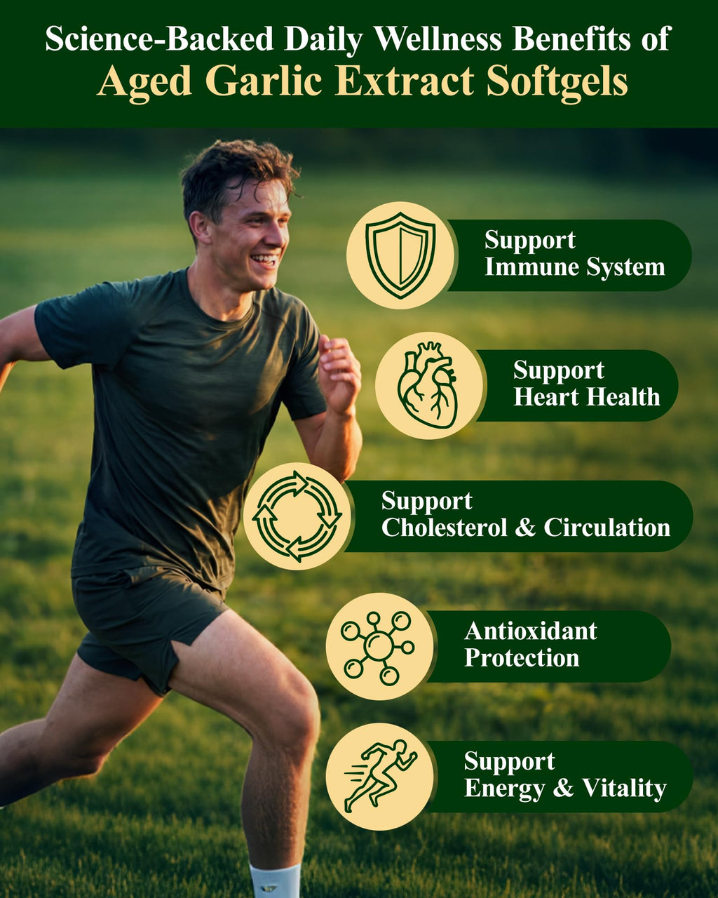 Odorless Garlic Supplement 300 Softgels T235