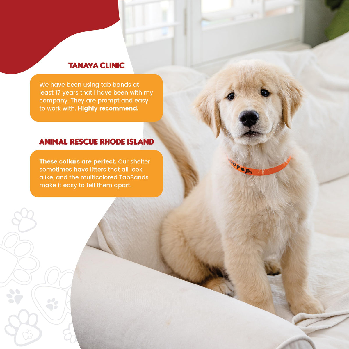 10 Inch 500 Count Waterproof Writable Pet ID Collars P741