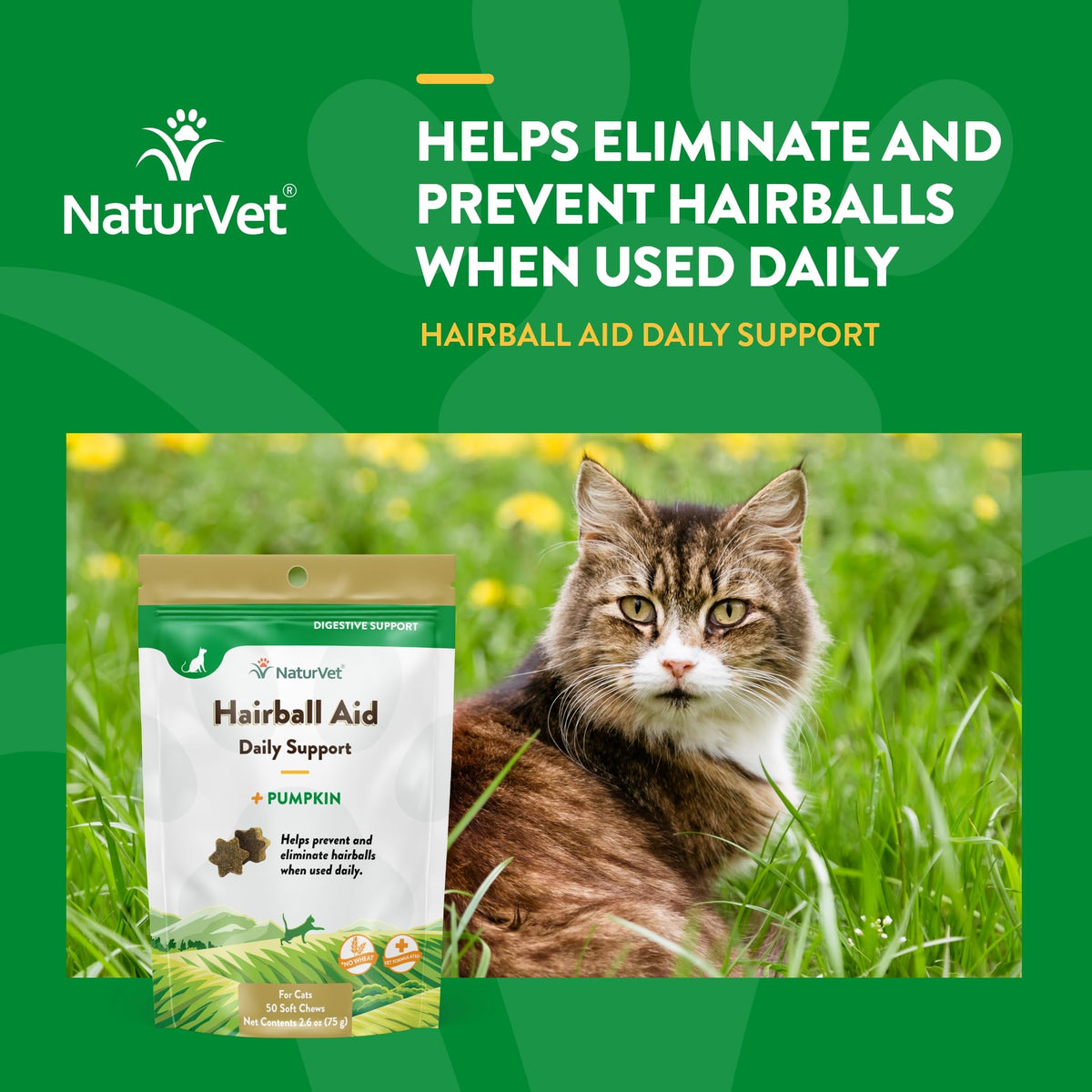 Hairball Remedy Digestive Aid Supplement 50 Soft Chews J996117
