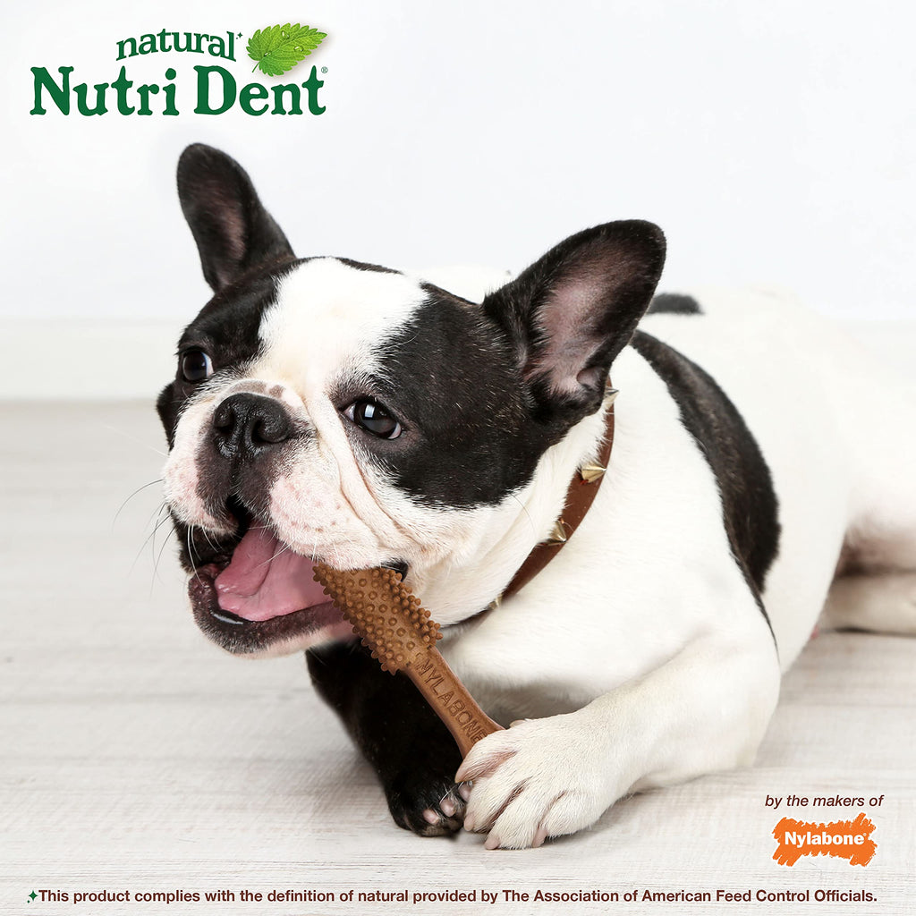 Filet Mignon Flavor Dog Dental Treats 40 Count Z4896