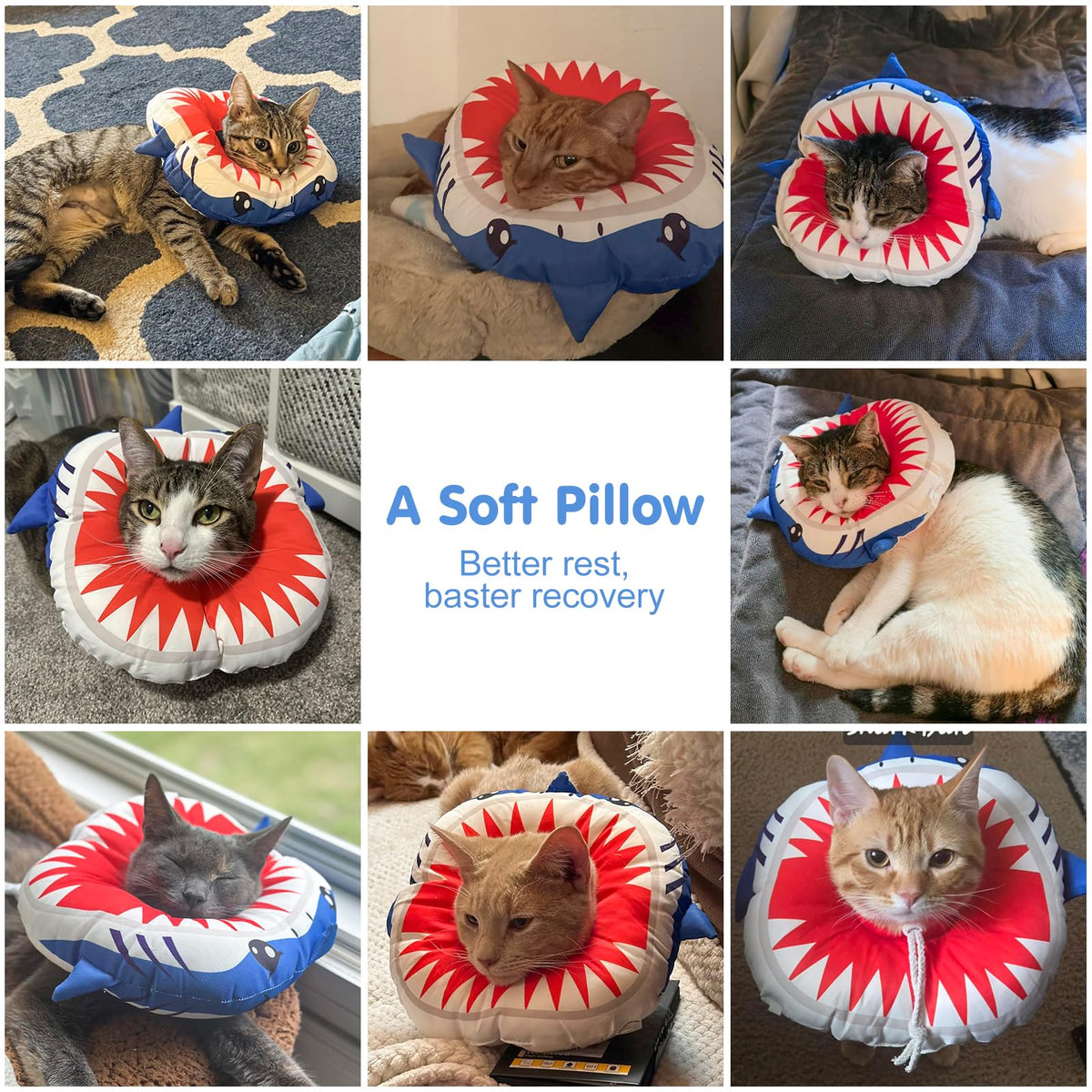 Soft Cat Recovery Cone Collar W16135