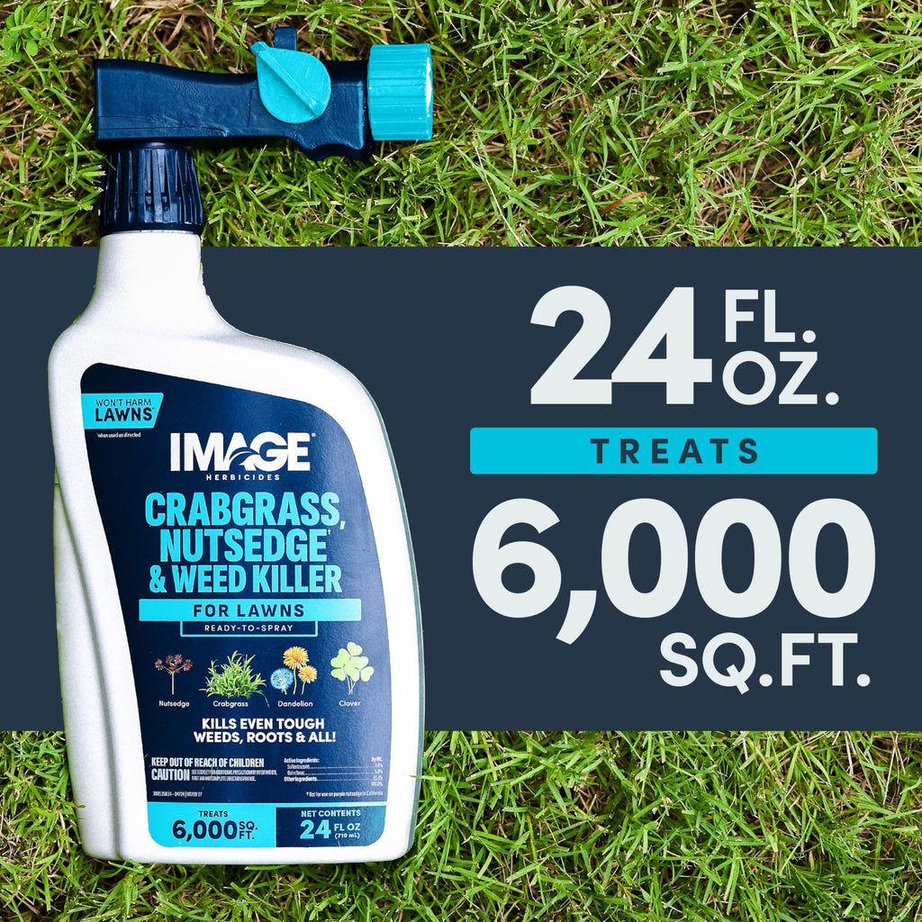 24 fl oz Weed Killer H205531