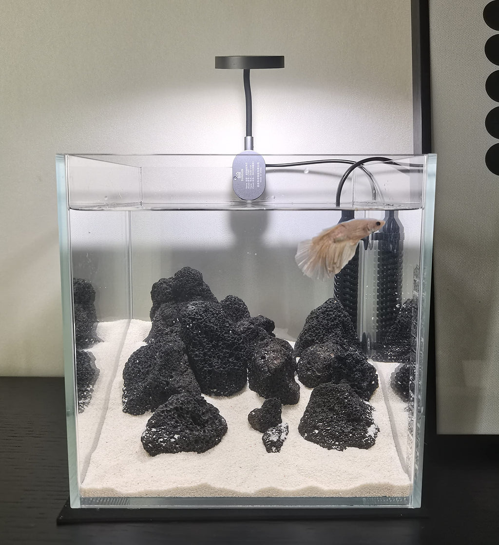 Small Nano Tall Rimless Glass Fish Tank 2 Gallon N8455